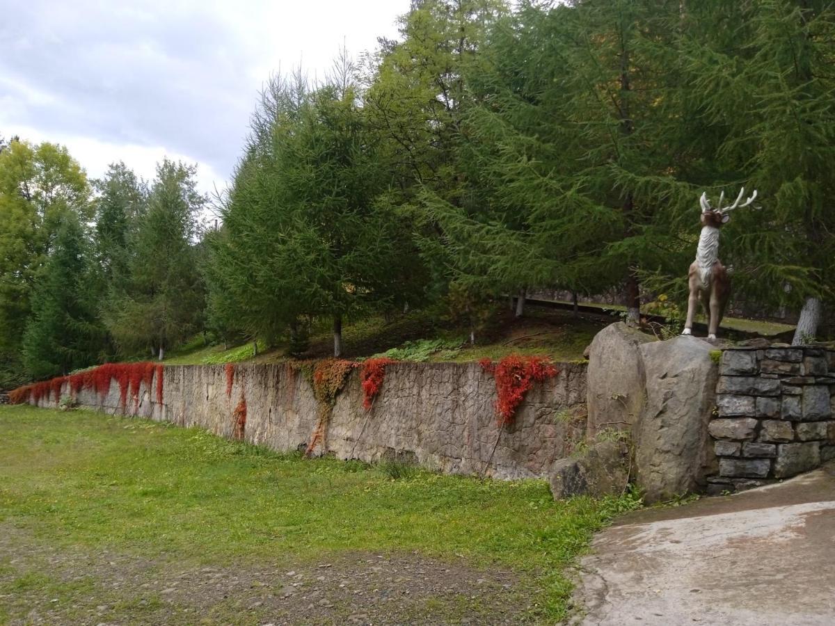 Садиба Федорчуків Гірська Хатина Sheshory Exterior foto