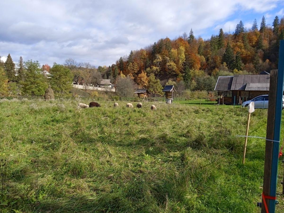 Садиба Федорчуків Гірська Хатина Sheshory Exterior foto