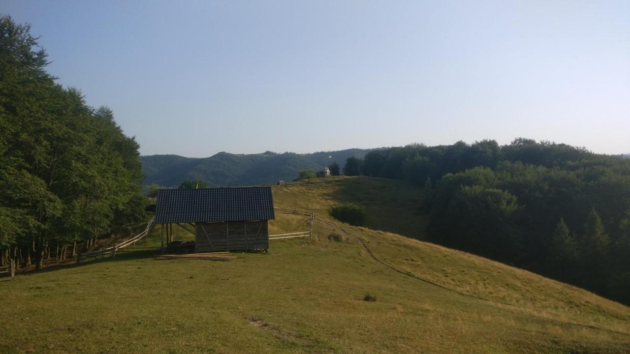 Садиба Федорчуків Гірська Хатина Sheshory Exterior foto
