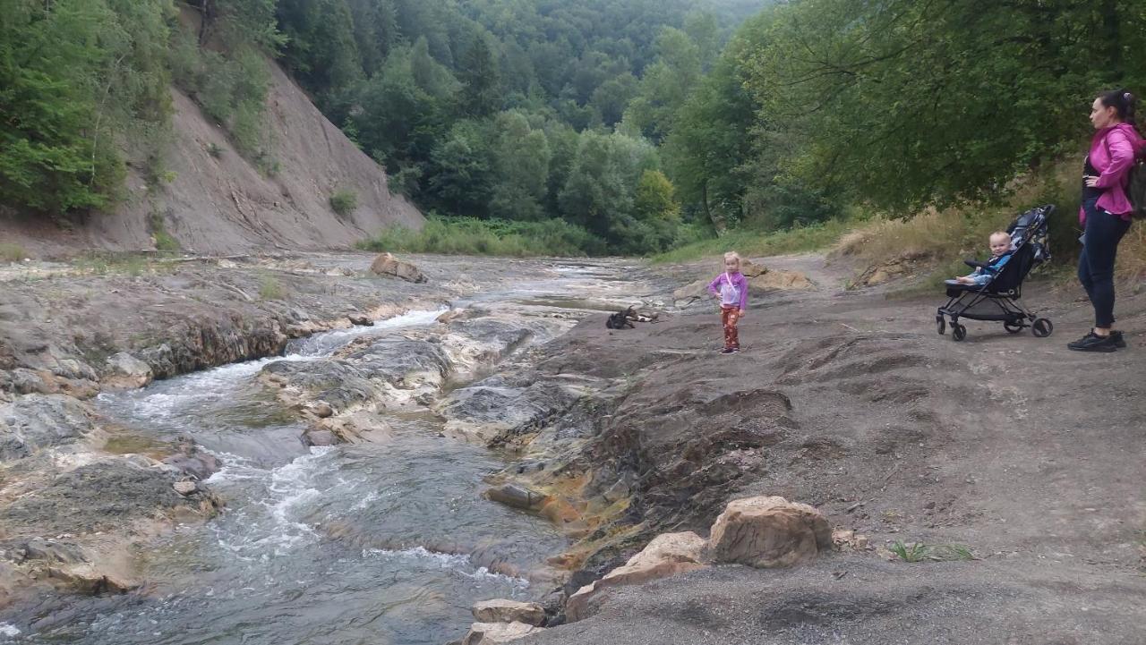 Садиба Федорчуків Гірська Хатина Sheshory Exterior foto