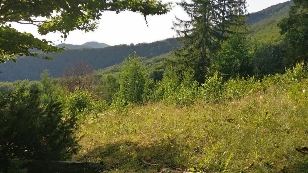 Садиба Федорчуків Гірська Хатина Sheshory Exterior foto